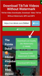 tiktok video downloader